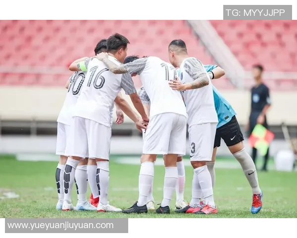 足球明星队全方位介绍与精彩瞬间回顾汇总